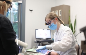 Dentist conducting treatment on patient