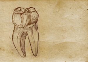Charcoal drawing of a tooth and root on an aged piece of paper